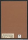 Auliscus caelatus var. latecostatus A. Schm. (de-Toni-Nr.: Genus 171, Species 4362) Zeichnungen Sammlung Grunow Mappe 04317 (Herbarium_W_Grunow_drawings_Folder_04317)